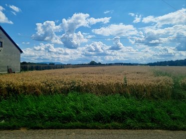 działka na sprzedaż 2791m2 działka Strumień, Strumień, Pruchna, ul. Kopanina