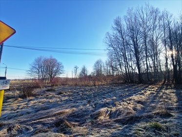 działka na sprzedaż 3841m2 działka Orzesze, Zgoń, Akacjowa