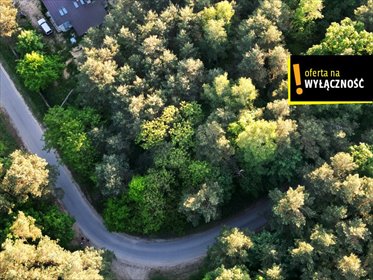 działka na sprzedaż 2919m2 działka Lisów, Wygwizdów