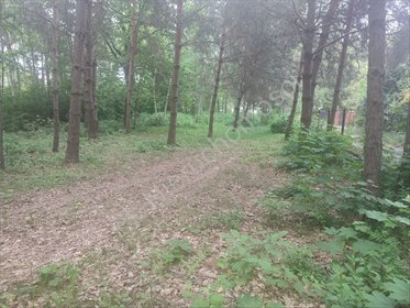 Działka budowlana w Komorowie z mediami i możliwością dokupienia działka Komorów