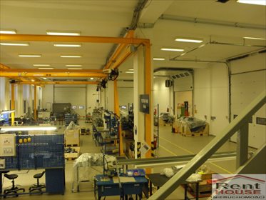 magazyn na wynajem 1165m2 magazyn Szczecin, Płonia