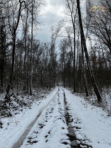 działka na sprzedaż 9400m2 działka Perła