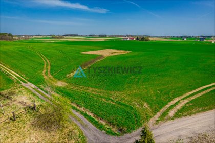 działka na sprzedaż 280005m2 działka Budziska