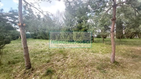 Działka w Komorowie z lasem i mediami, 4200 m² działka Komorów