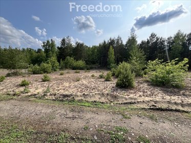 działka na sprzedaż 916m2 działka Czarne Błoto