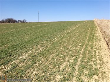 działka na sprzedaż 3162m2 działka Władysław