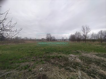 działka na sprzedaż 9000m2 działka Grodzisk Mazowiecki