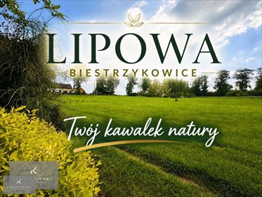 Działka 8 200 m² z zabudowaniami, potencjał, zapraszam działka Świerczów, Biestrzykowice