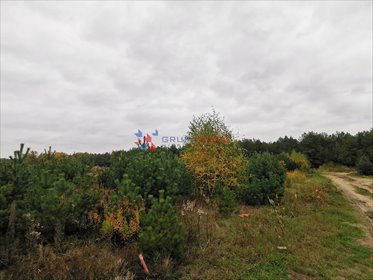 Działka 1000 m2 pod dom w Krępie z mediami. działka Krępa