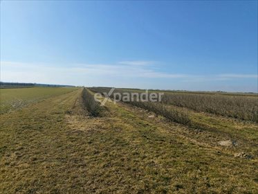 działka na sprzedaż 3000m2 działka Sporniak