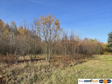 działka na sprzedaż 905m2 działka Słupno