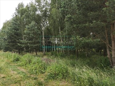 działka na sprzedaż 2000m2 działka Żelechów