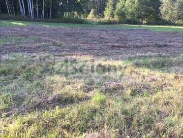 Polecam działkę 1500 m² pod zabudowę w Sierzchowie działka Sierzchów