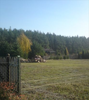 Działka siedliskowa na sprzedaż Krucz, Gminna 780m2 Foto 1
