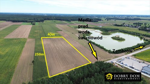 działka na sprzedaż 10000m2 działka Szumowo