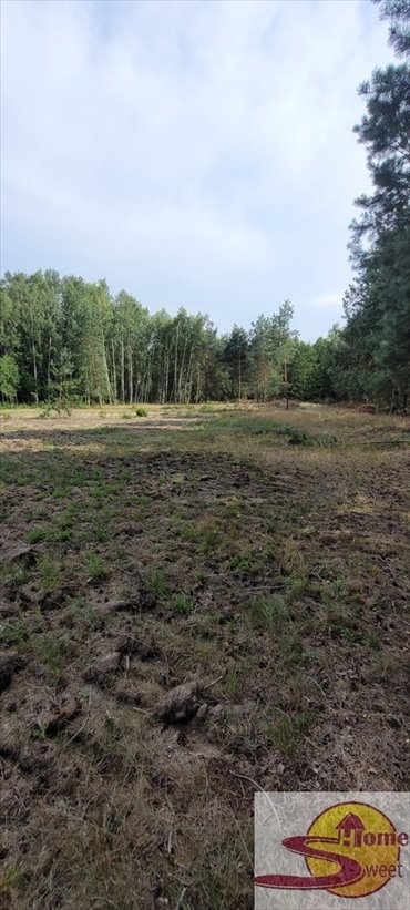 Działka pod domy jednorodzinne z mediami i warunkami zabudowy działka Wolanów