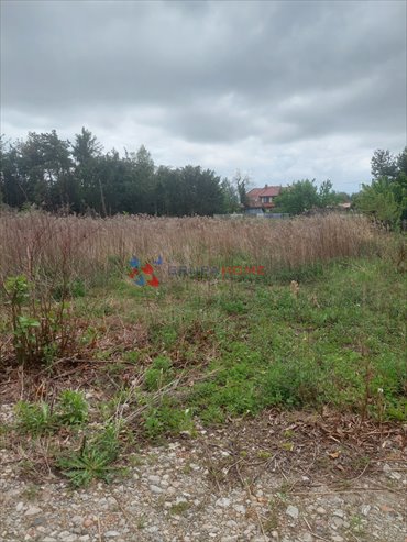 Działka inwestycyjna 3000m2 z mediami i planem zabudowy działka Michałowice-Wieś