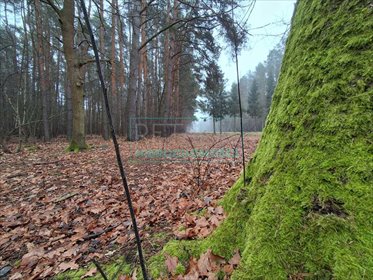 działka na sprzedaż 21083m2 działka Nadarzyn