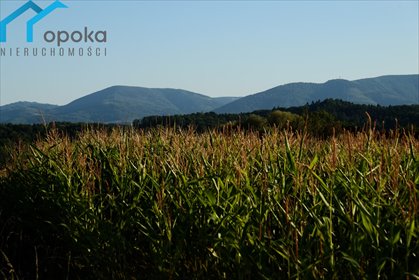 działka na sprzedaż 1016m2 działka Puńców