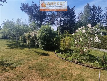 Dom na sprzedaż Udrzyn 70m2 Foto 6