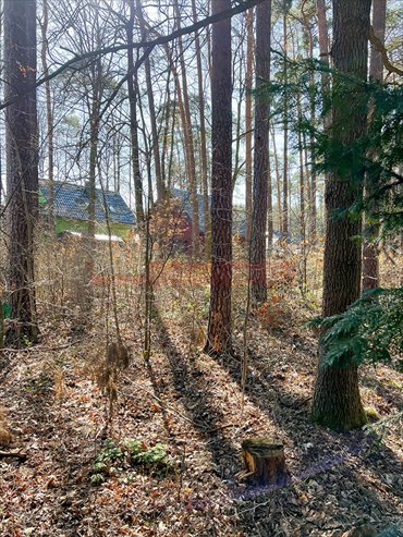 działka na sprzedaż 486m2 działka Turawa