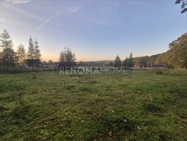 działka na sprzedaż 2877m2 działka Wilczyn