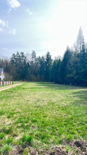 działka na sprzedaż 3274m2 działka Wasilków, Wasilków, Sielachowskie
