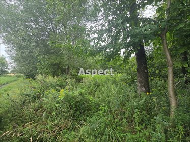 działka na sprzedaż 9300m2 działka Siecień-Rumunki