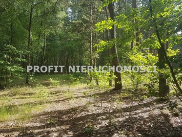 działka na sprzedaż 1331m2 działka Kania Góra