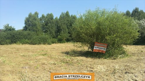 Działka rekreacyjna na sprzedaż Urle 1 500m2 Foto 4