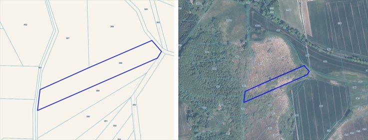 działka na sprzedaż 9700m2 działka Czarne Dolne