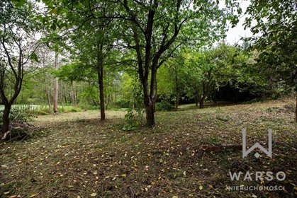 Działka budowlana na sprzedaż Gostynin, Bierzewice, Kutnowska 10 070m2 Foto 3
