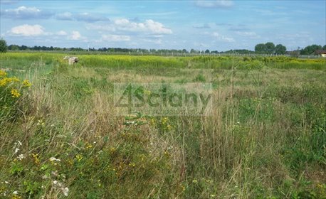 Działka budowlana 1603 m² w Duchnowie - warunki zabudowy działka Duchnów