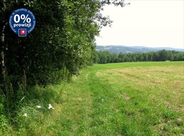 działka na sprzedaż 8000m2 działka Glinik Zaborowski, Glinik Zaborowski, Glinik Zaborowski
