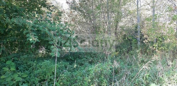 działka na sprzedaż 800m2 działka Kaliszki