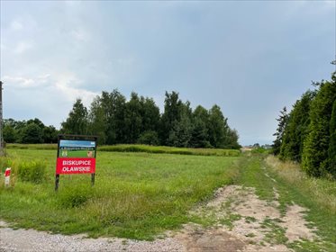 Działka budowlana na sprzedaż Biskupice Oławskie 1 090m2 Foto 6