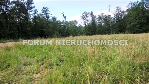 Działka budowlana na sprzedaż Twardorzeczka 8 189m2 Foto 3