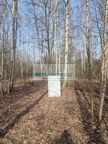 Działka 1100 m² pod dom w Kamionce, media, cicha okolica działka Kamionka
