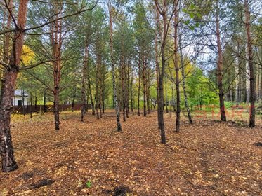 Działka 1466 m² w Książenicach, nowa zabudowa - polecam! działka Książenice
