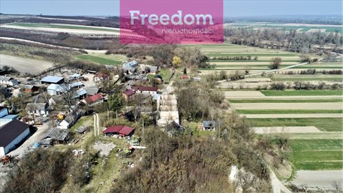 Lokal użytkowy na sprzedaż Tarłów 700m2 Foto 6