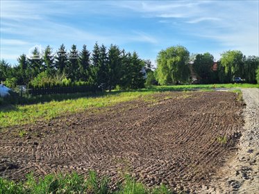 Działka budowlana 1110 m² z warunkami zabudowy w Ostaszewie działka Ostaszewo
