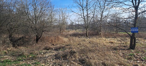 działka na sprzedaż 2900m2 działka Cikowice