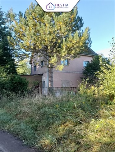 mieszkanie na sprzedaż 74m2 mieszkanie Przelewice