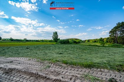 Działka rolna na sprzedaż Witrogoszcz-Kolonia 183 634m2 Foto 6