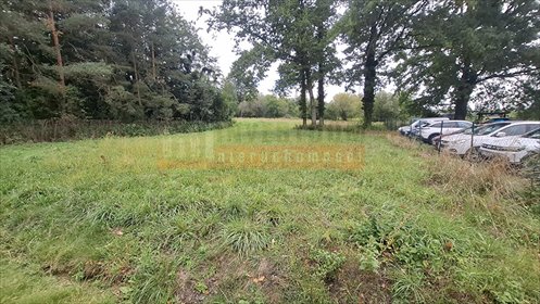 Na sprzedaż działka 800 m² z własną drogą w Dąbrowie działka Dąbrowa