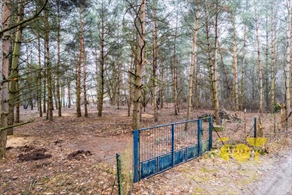 Polecam działkę 3000 m² w Żelechowie z lasem i możliwością zabudowy działka Żelechów, Parkowa