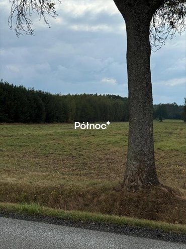 działka na sprzedaż 8600m2 działka Bronów