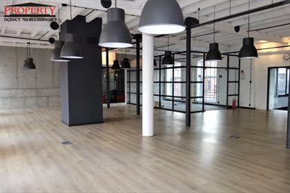lokal użytkowy na wynajem 226m2 lokal użytkowy Łódź, Polesie, Karolew, Kopernika