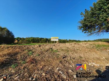 Działka budowlana na sprzedaż Drągowina 3 200m2 Foto 5