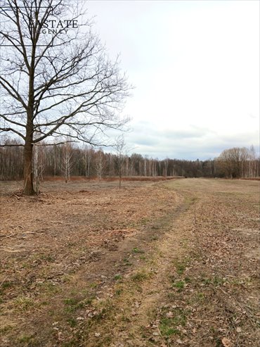 działka na sprzedaż 11147m2 działka Koryta, Północna